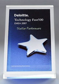 Deloitte 2007 204x292
